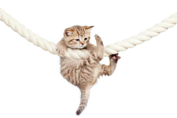 7 Types Of Stress Holiday Survival Guide