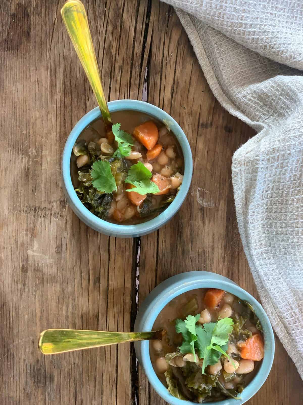 Instant Pot Navy Bean Soup