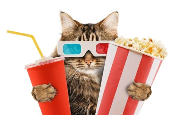 What to Watch This Weekend
