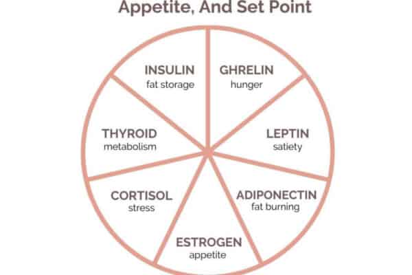 Woman Food and Hormones