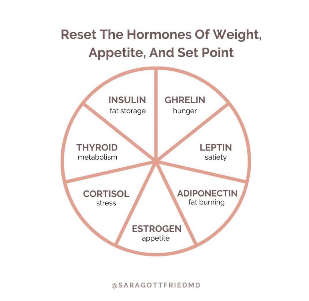 Woman Food and Hormones