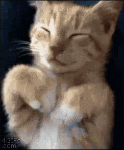 Oh No Facepalm GIF - Find & Share on GIPHY