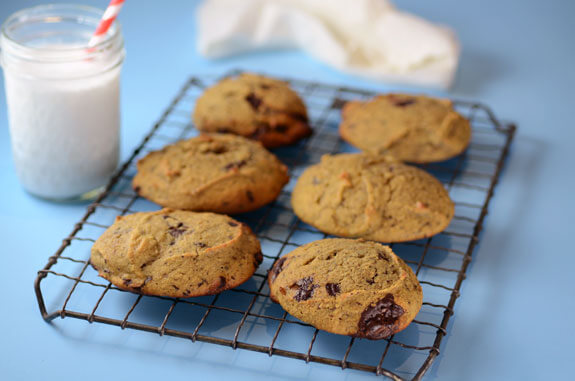 paleo chocolate chip scones